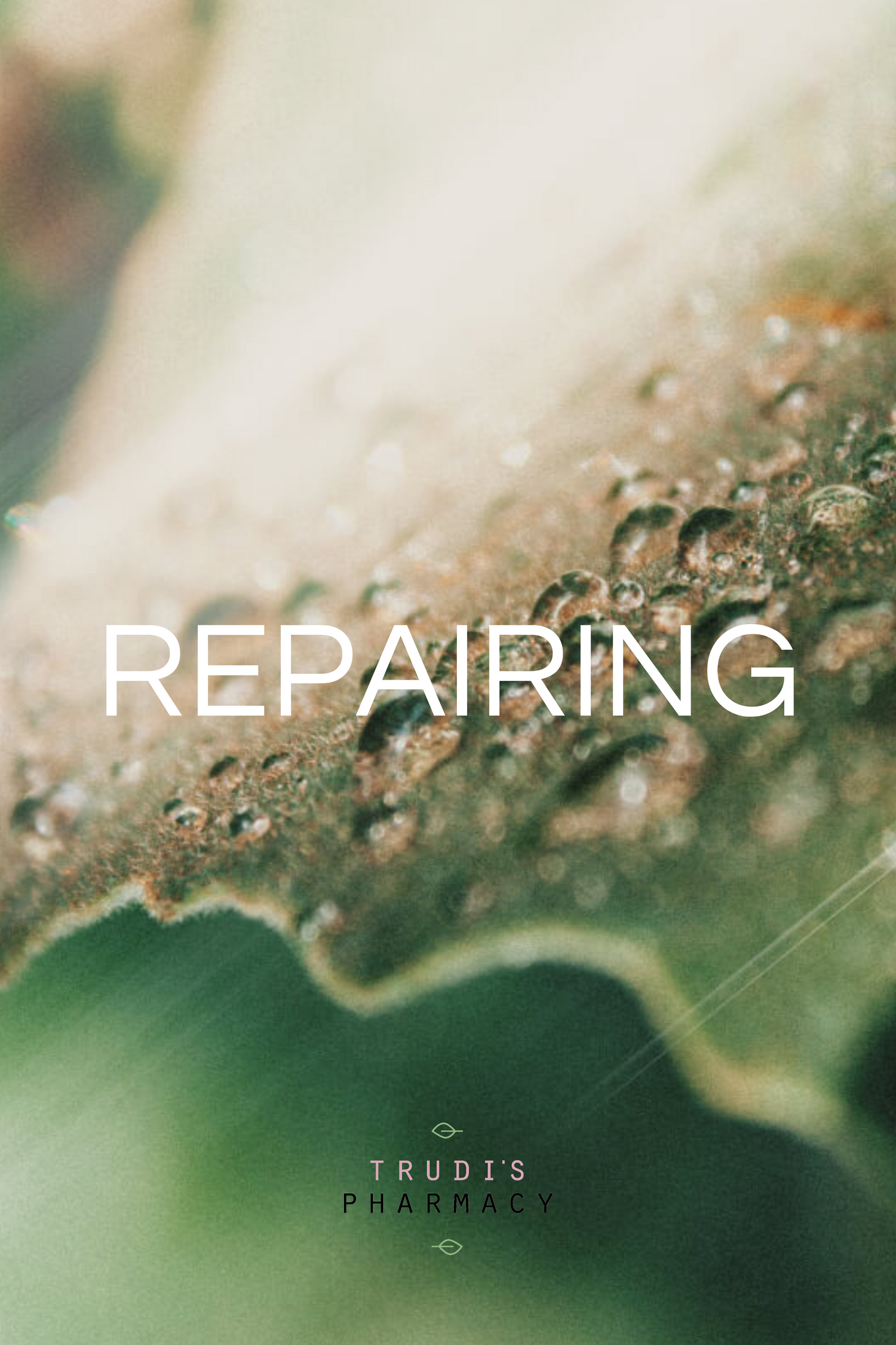 Repairing